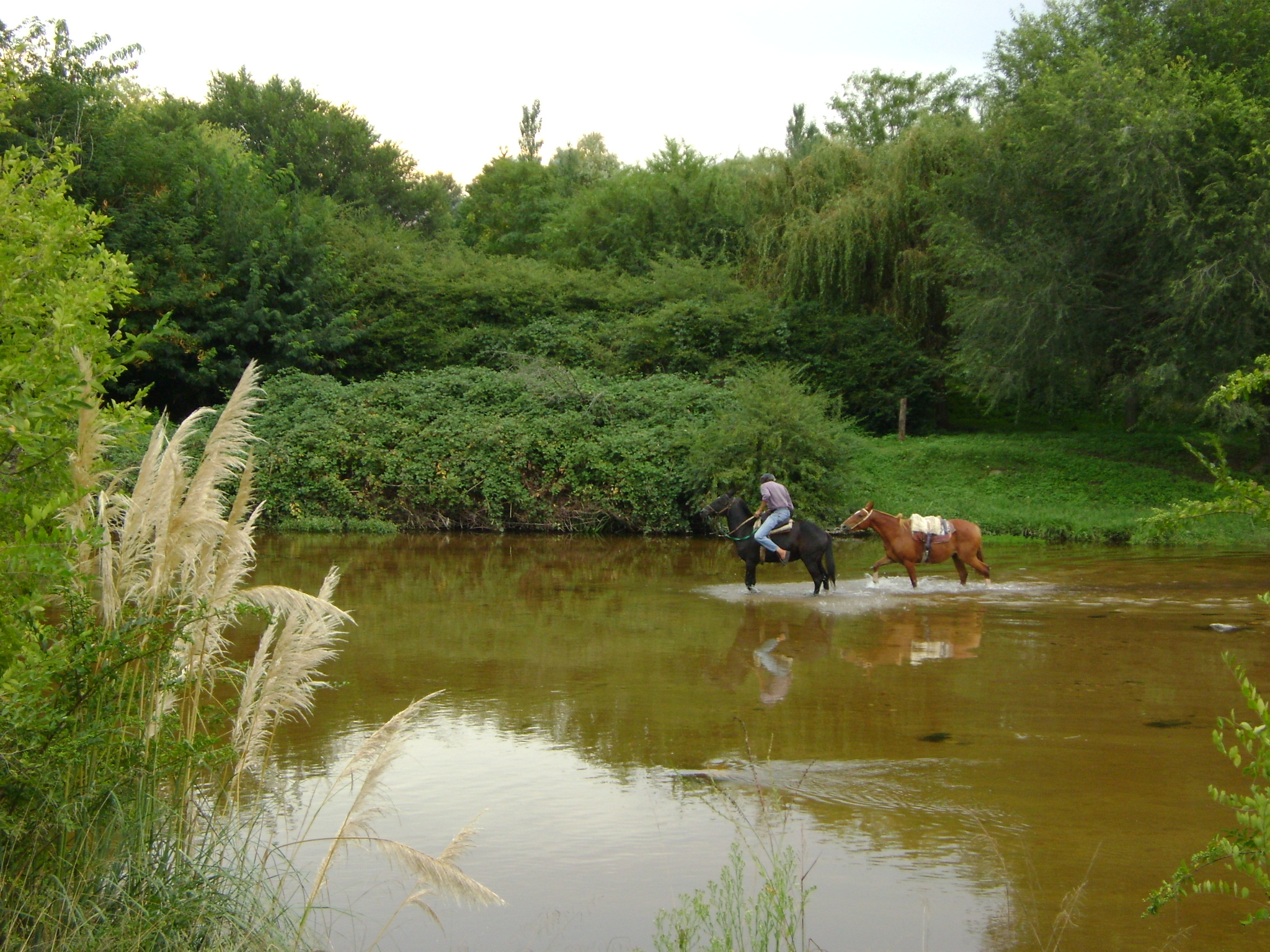 fotos/2011 - Los Reartes/DSC03472.JPG